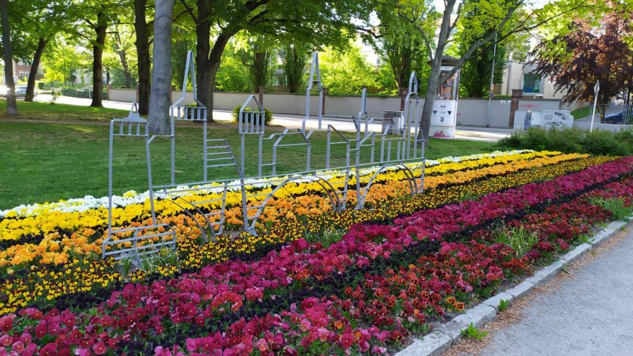 Alte Baeckerei Bautzen - 00 #Kids# Im Zentrum, Mit Parkplatz, Top Ausgestattet Esterno foto